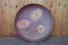 DCP_0011s_.Jpg (18607 oCg)